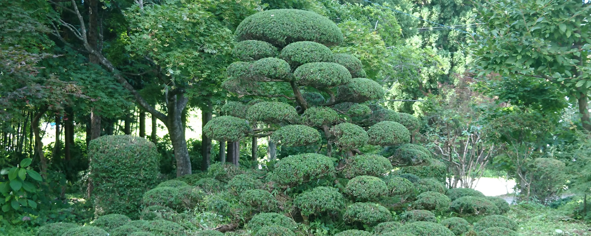 迎田造園